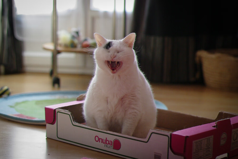 火箭升空!拉梅洛末节19分打崩雄鹿,火箭新王炸已诞生?